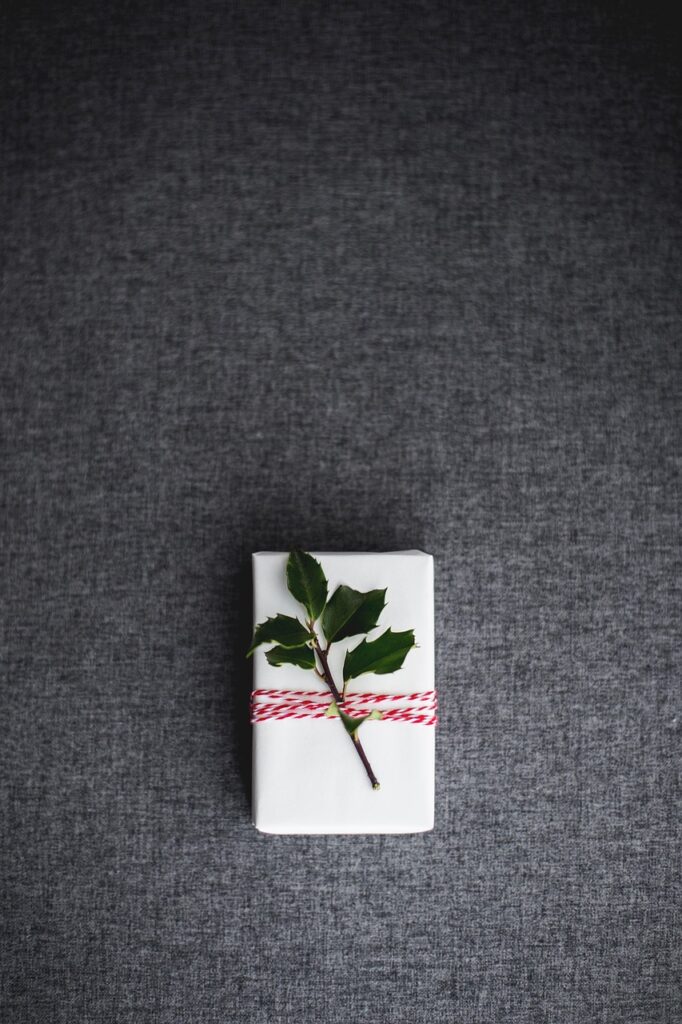 christmas, present, gift, holiday, xmas, nature, gift box, surprise, package, leaves, christmas present, christmas gift, decoration, decor, christmas background, iphone wallpaper